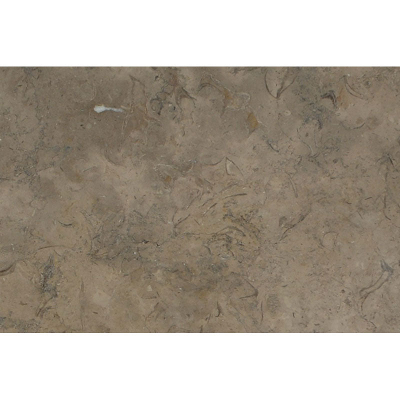 Fossil Brown Limestone 16x24 Polished Tile
