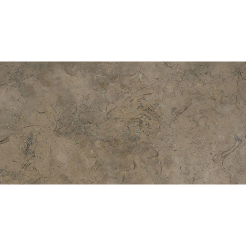 Fossil Brown Limestone 12x24 Polished Tile