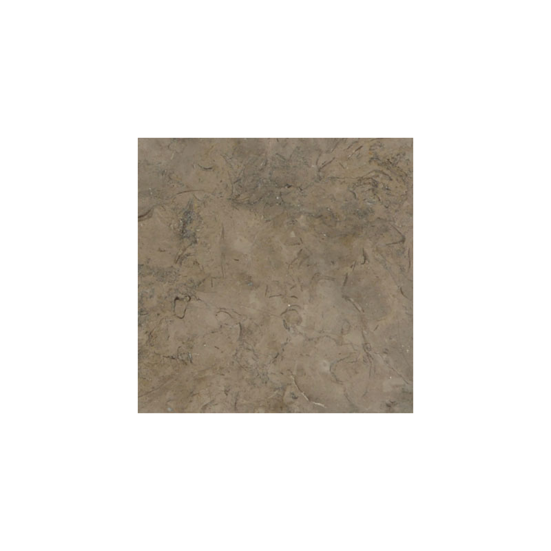 Fossil Brown Limestone 12x12 Polished Tile