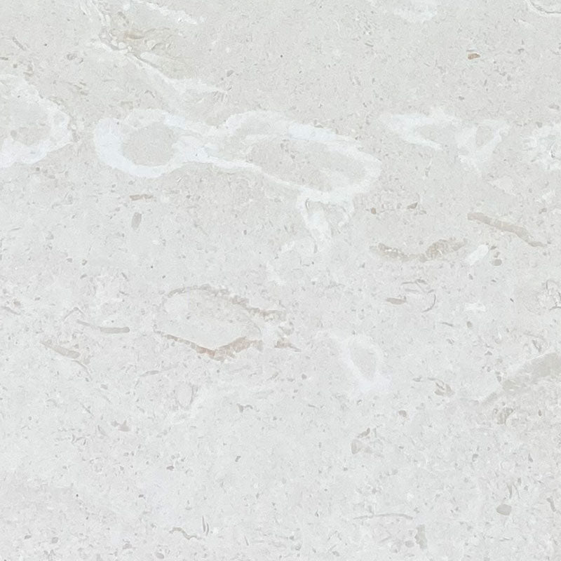 White Pearl Myra Limestone 24x24 Honed Tile