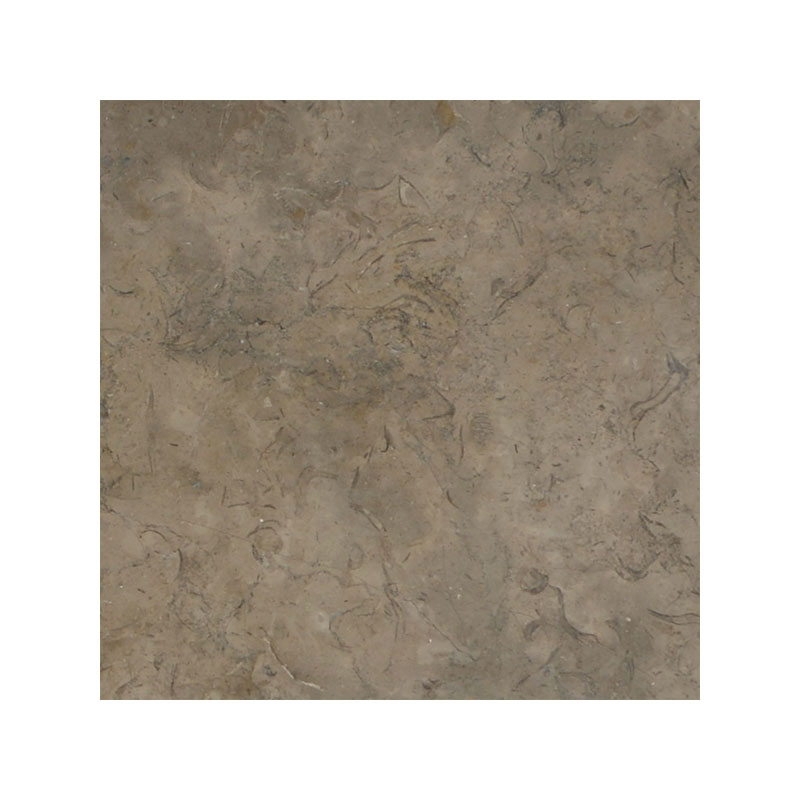 Fossil Brown Limestone 18x18 Polished Tile