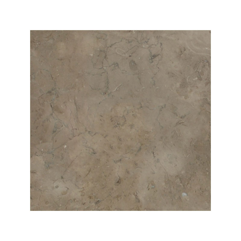 Fossil Brown Limestone 18x18 Leathered Tile