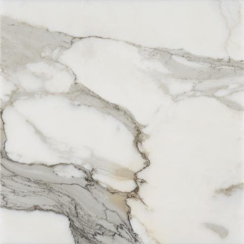 Calacatta Gold Marble 18x18 Honed Marble Tile