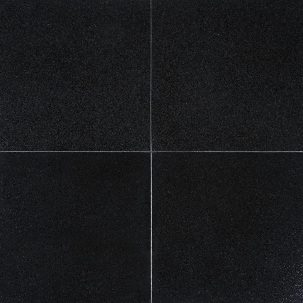 Absolute Black Granite 18x18 Polished Tile