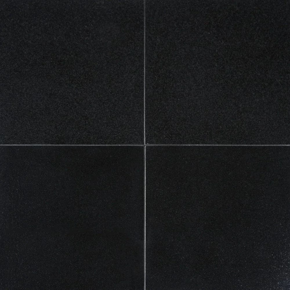 Absolute Black Granite 24x24 Polished Tile