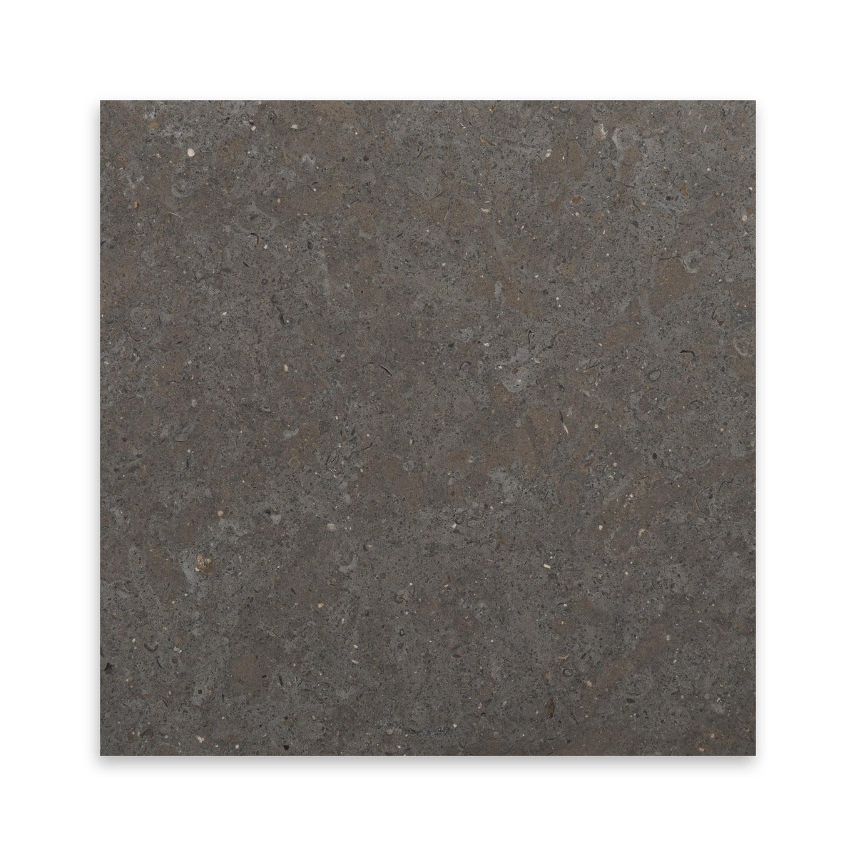 Nova Blue Limestone 12x12 Honed Tile