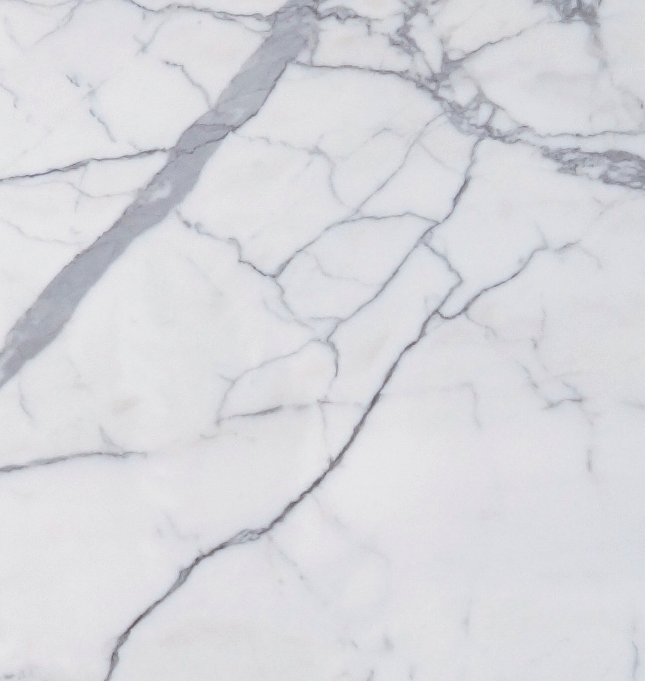 Statuario Marble 24x24 Honed Tile