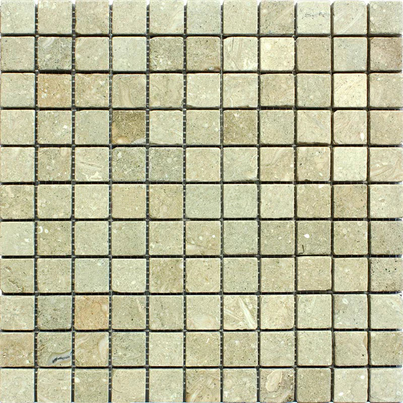 Seagrass Limestone 1x1 Tumbled Mosaic Tile