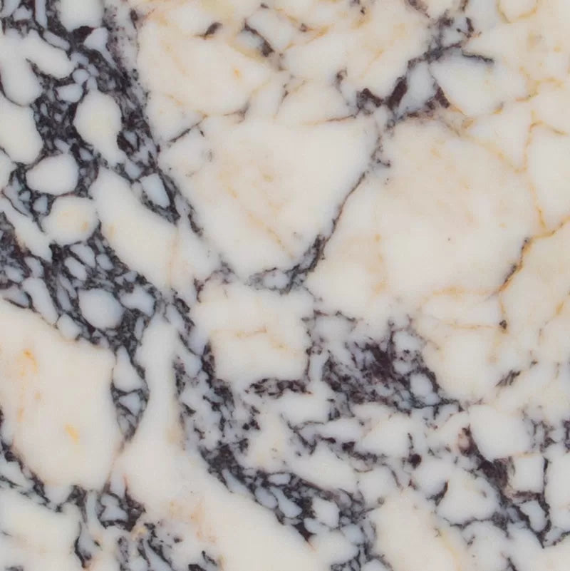 Calacatta Viola Marble 12x12 Polished Tile