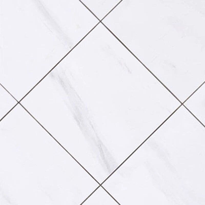 Bianco Dolomite Marble 12x12 Honed Tile