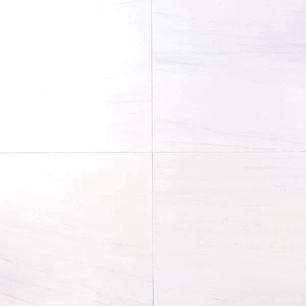 Bianco Dolomite Marble 24x24 Polished Tile