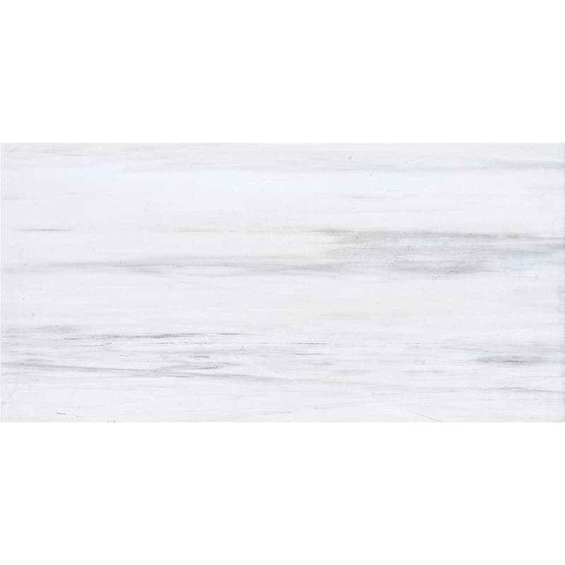 Bianco Dolomite Marble 12x24 Honed Tile