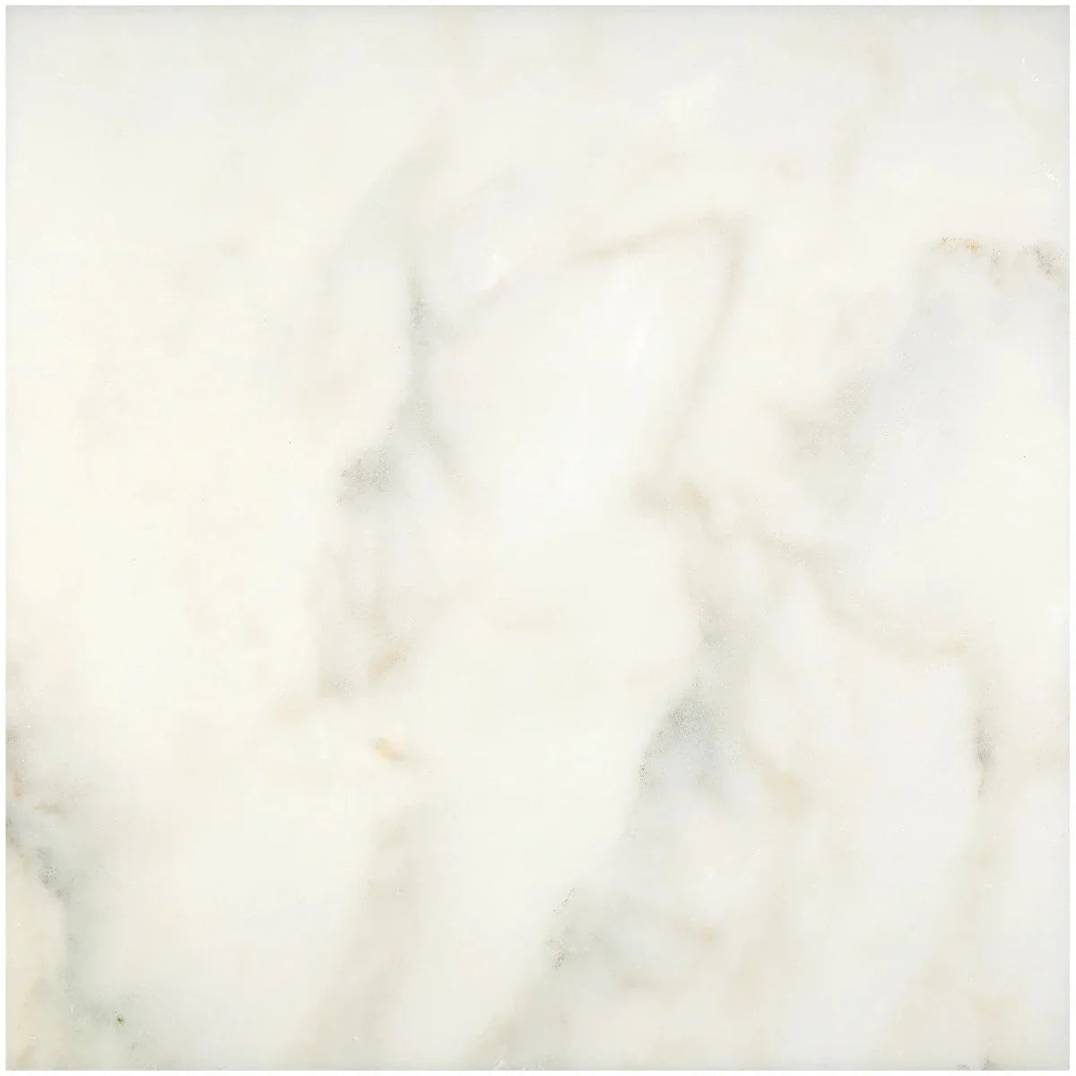Calacatta Oliva Marble 12x12 Polished Tile