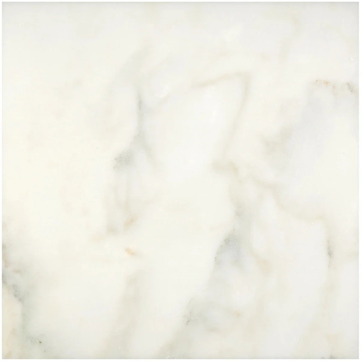 Calacatta Oliva Marble 18x18 Honed Tile