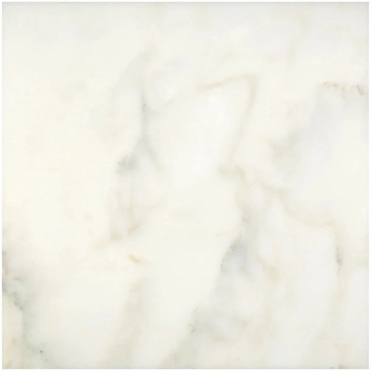 Calacatta Oliva Marble 18x18 Polished Tile