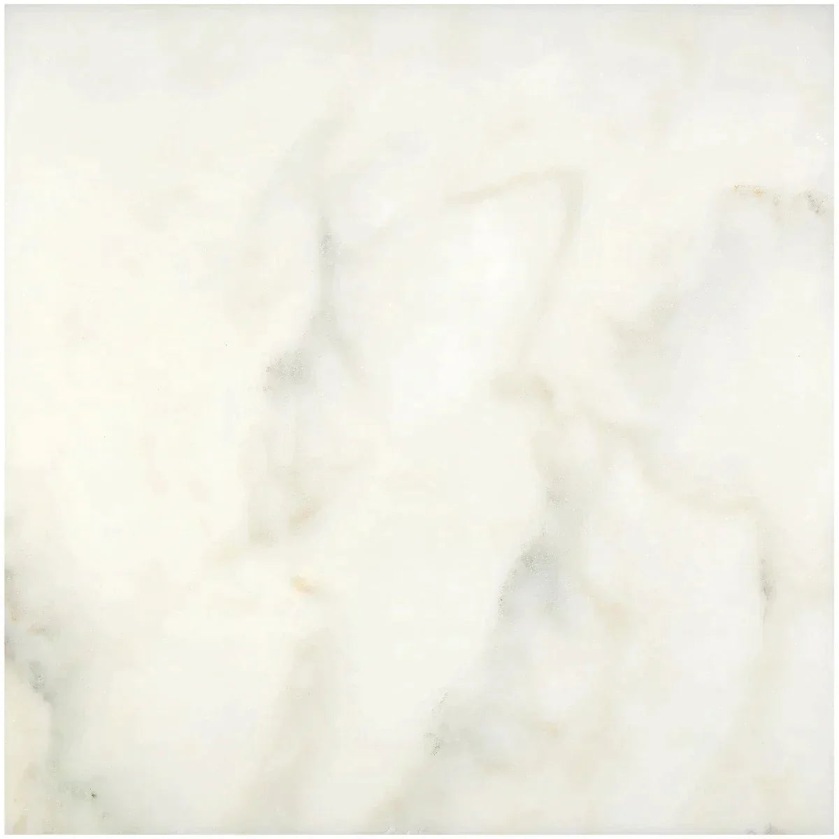Calacatta Oliva Marble 24x24 Honed Tile