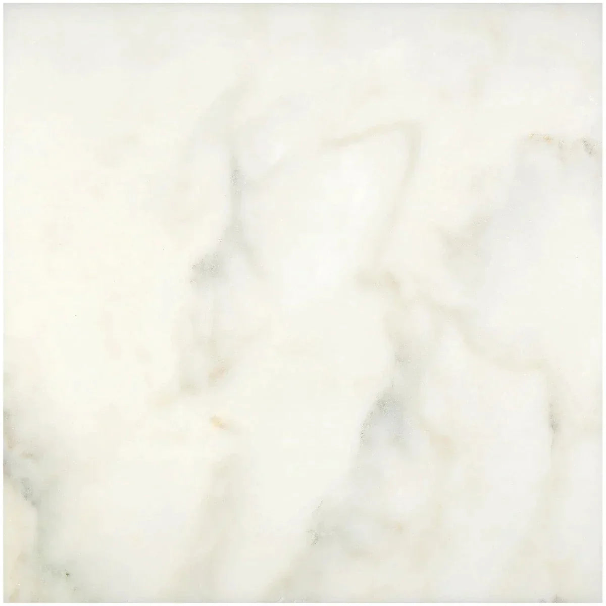 Calacatta Oliva Marble 24x24 Polished Tile