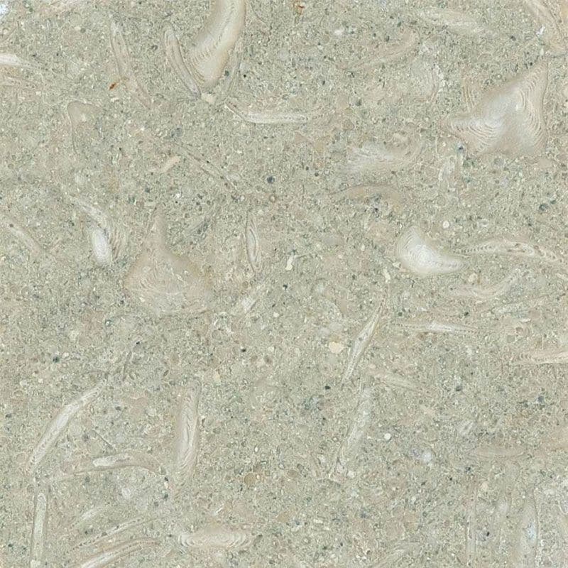 Seagrass Limestone 4x4 Tumbled Tile